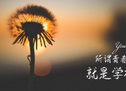 -橙衣风暴，2026世界杯揭幕战，荷兰用流畅的攻守转换与阿方索的闪耀击碎奥地利