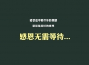 英雄联盟总决赛-沙漠之鹰折戟桑巴舞，2026世界杯B组关键战，阿方索·戴维斯一剑封喉，巴西绝杀阿联酋书写生死时速