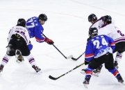 英雄联盟总决赛-冰球再创历史，冠军实至名归的简单介绍