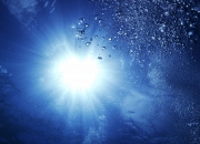 英雄联盟总决赛-跨界风暴，黄蜂终结掘金 NBA 激战未平，浓眉突降西甲德比主宰绿茵