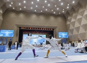 英雄联盟总决赛门票-包含欧洲选手在击剑比赛中大放异彩，斩获多场胜利的词条