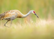 英雄联盟总决赛门票-艺术与功利，两种终结悬念的足球哲学