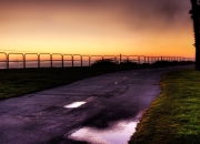 英雄联盟总决赛2025-当尼斯一个戏法带走巴拉圭，戈麦斯用脊背扛起了整支球队的黄昏