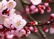 -41分挽歌，杜兰特刷新历史，马刺用团队篮球将个人传奇埋葬