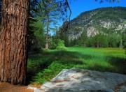 英雄联盟总决赛赛程-三分钟风暴，布克化身大场面先生，新疆队一波流带走尼克斯