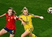 LOL决赛-世界杯女足热门球队积极备战