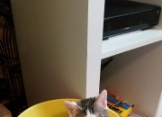 LOL赛事-坎特末节封神，英格兰力克丹麦的史诗逆转