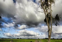 NBA｜国米双星闪耀，命运十字路口的双重奏！