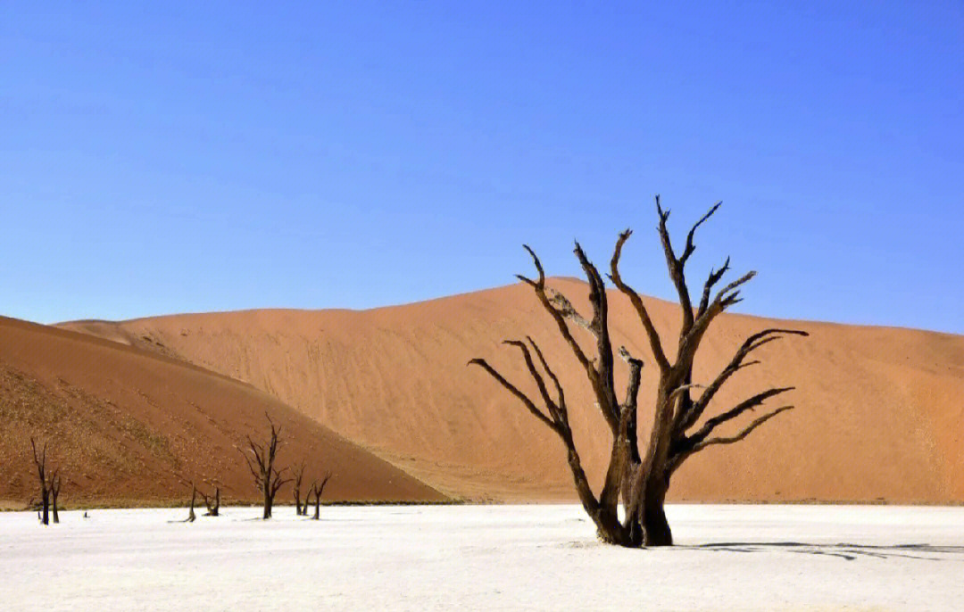 关于阿尔及利亚篮球队壮行纳米比亚沙漠探索之旅的信息 关于阿尔及利亚篮球队壮行纳米比亚沙漠探索之旅的信息