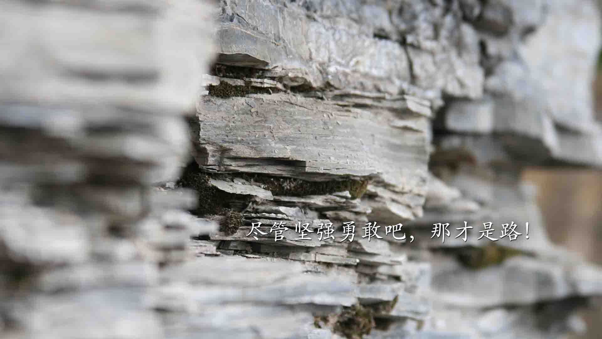 阿克闪耀圣西罗,曼联对阵AC米兰,荷兰铁卫全场最佳无争议