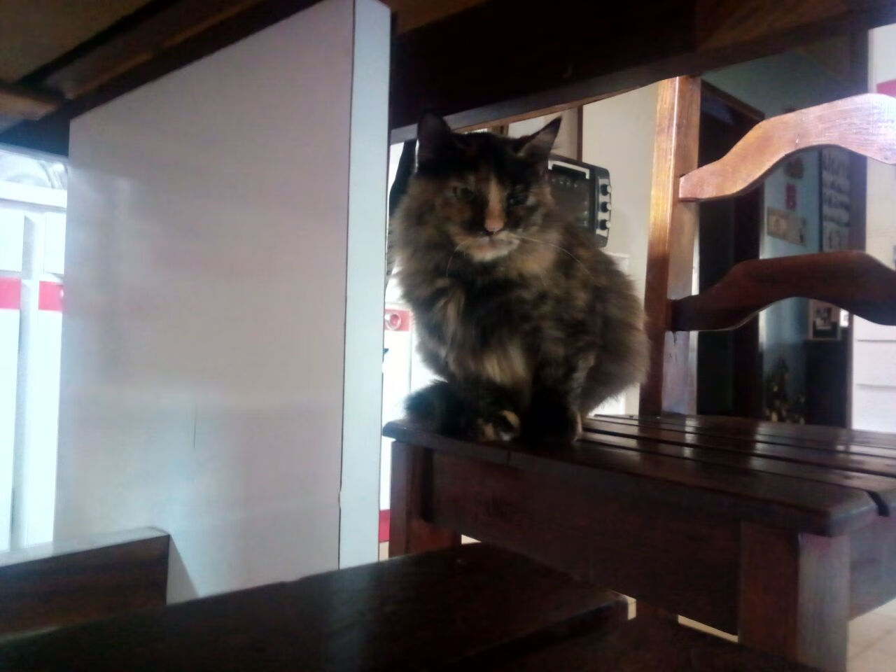 火焰与凛冬，小贾伦以魔术之名，为广东队刻下终章