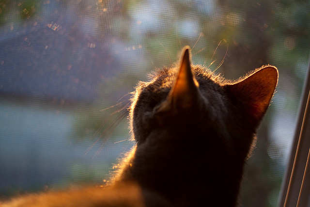 双幕剧,当诺坎普的风吹进甲骨文,库里在另一个赛场演绎国家德比