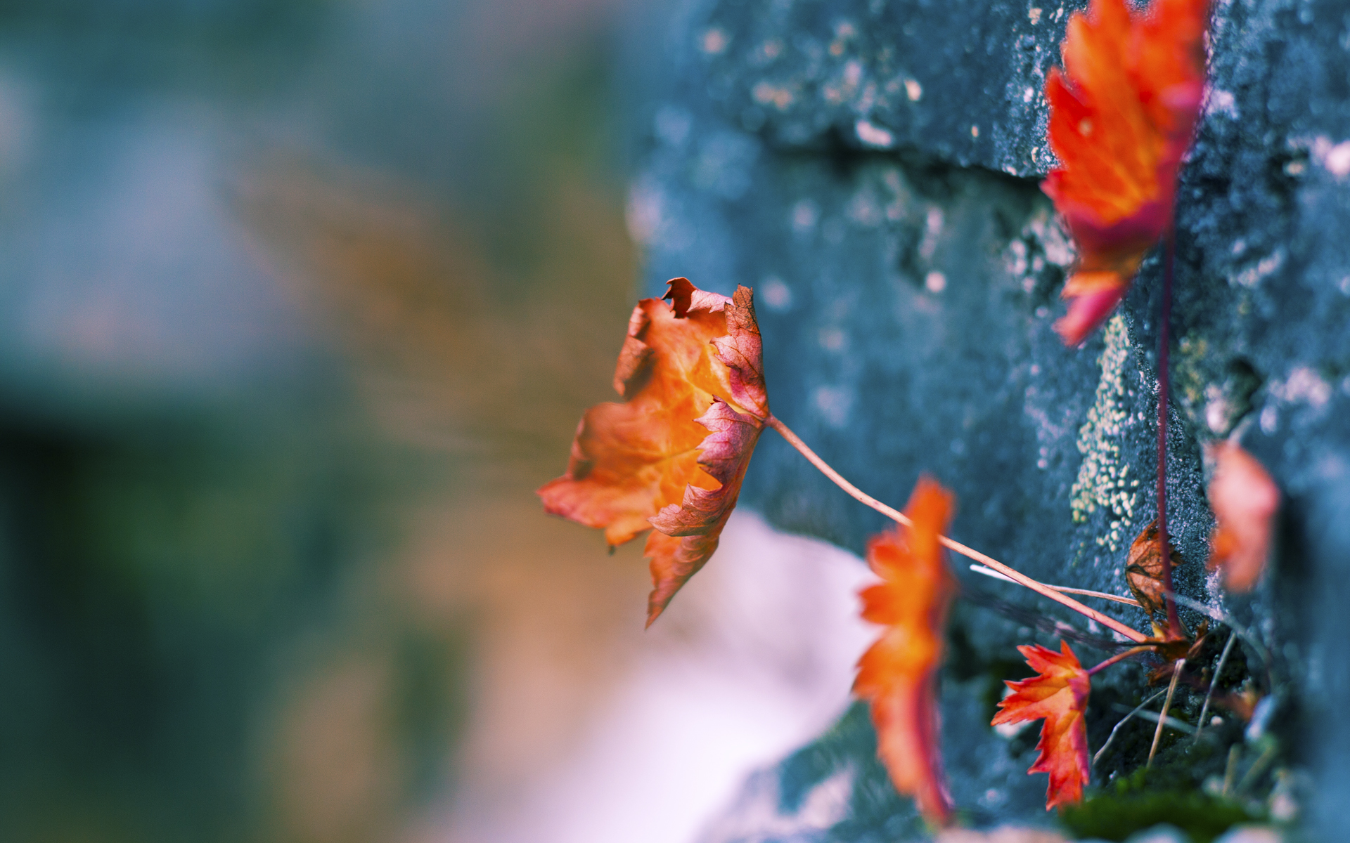 米切尔式逆袭,当鹈鹕以硬仗之王姿态正面碾过快船巨轮