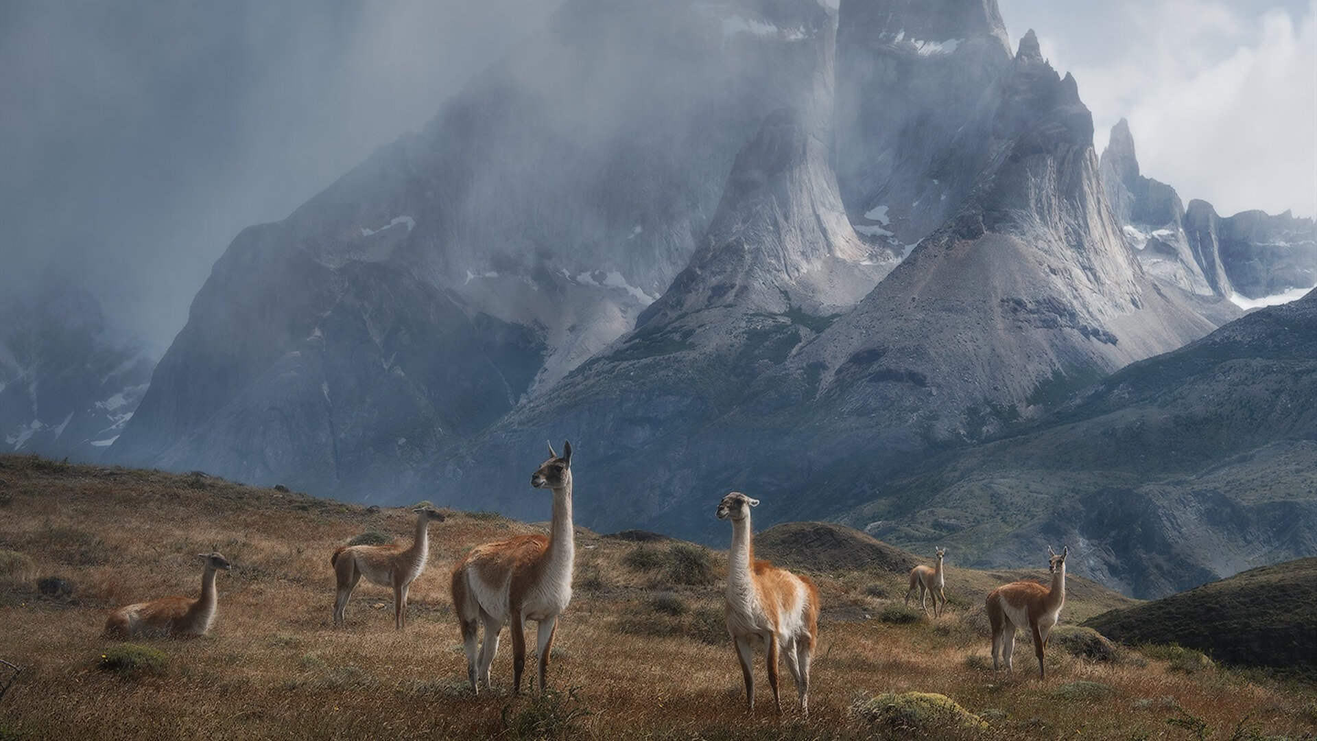 无关加拉加斯与马德里的英雄，当稳稳拿下遇见暴力美学