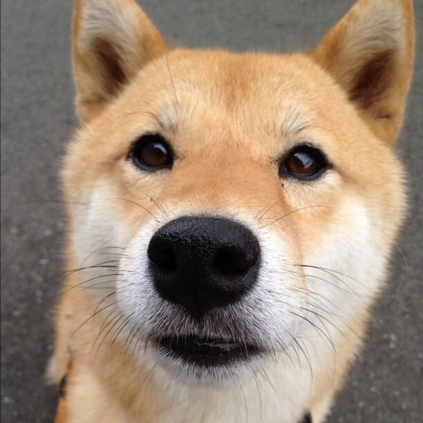 西甲隐形德比，皇马为何血拼巴拉圭元素？