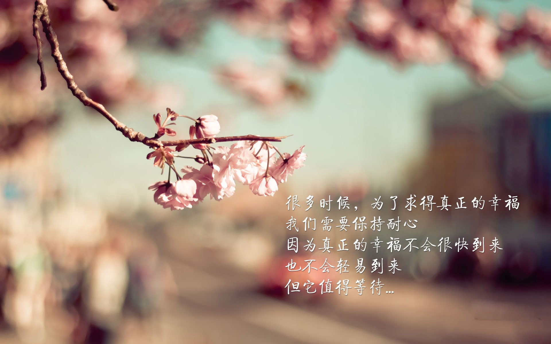 沙漠风暴中的孤胆英雄,2026世界杯D组,阿联酋绝杀哥斯达黎加,莫德里奇用控球书写不老传奇