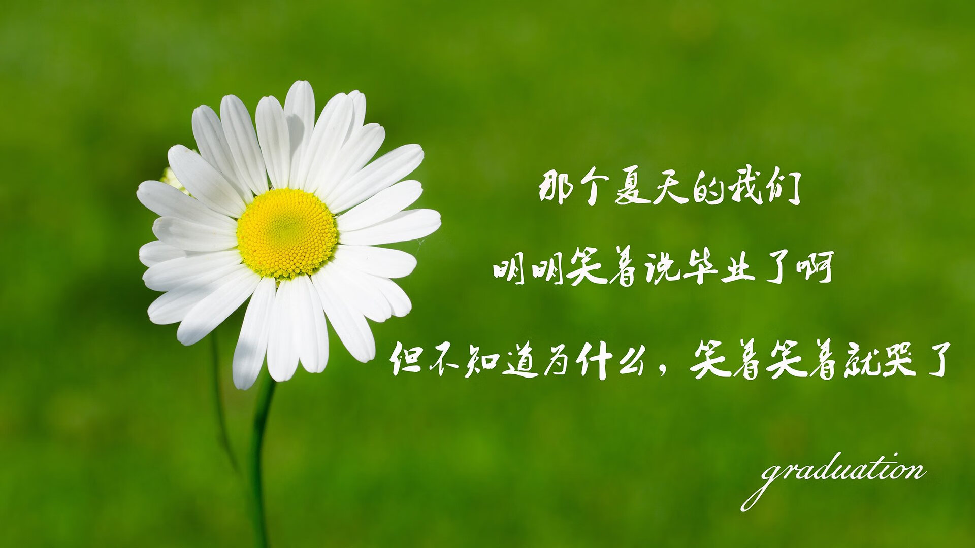 宿命的齿轮,2026世界杯E组,瑞士与乌兹别克斯坦的暗战,以及罗德里戈那道无法复制的光