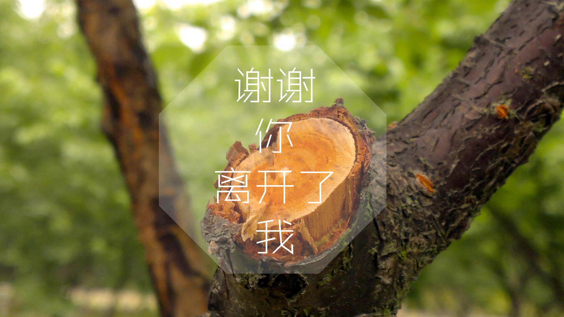 2026世界杯G组巅峰对决,西班牙绝杀波兰,福登压哨闪耀成唯一主角